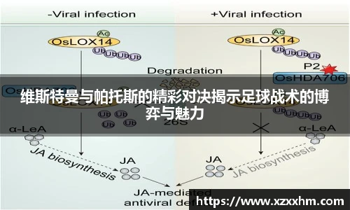 维斯特曼与帕托斯的精彩对决揭示足球战术的博弈与魅力